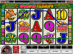 Bush Telegraph Video Slot